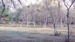 Doogee X5 MAX Pro, Doogee, смартфон